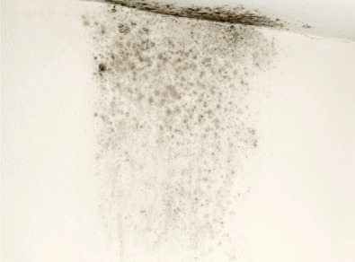 김제 주택 아파트 공장 결로검사 결로공사 시공업체