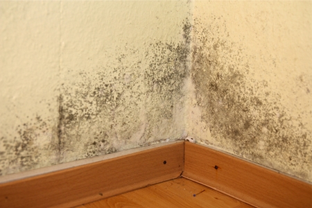 주택 결로 시공 PC 이미지 6106302