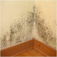 김제 주택 아파트 공장 결로검사 결로공사 시공업체-6106302